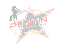 puntin